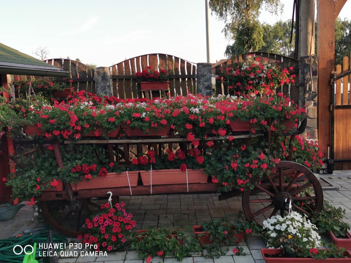 فندق Sepsi Relax Sfântu-Gheorghe المظهر الخارجي الصورة