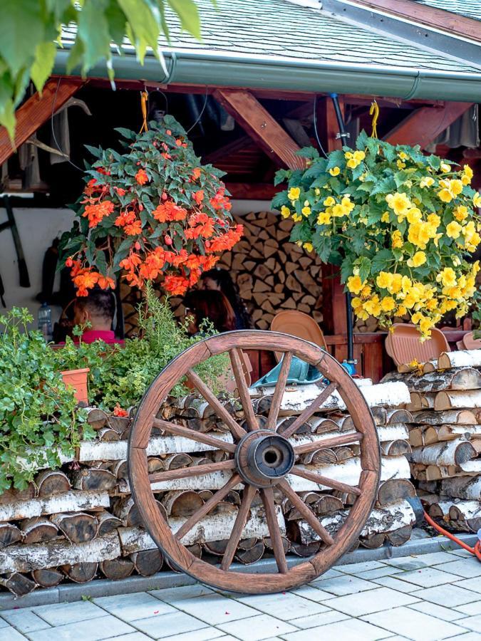 فندق Sepsi Relax Sfântu-Gheorghe المظهر الخارجي الصورة